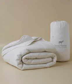 Couette 4 saisons Chambre N°4