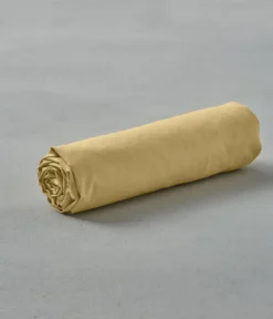 Drap housse coton Olive