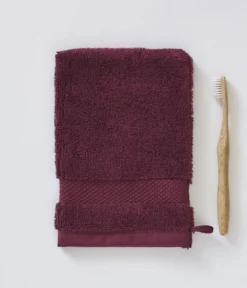 Gant de toilette Prune