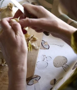 Nappe enduite Le coin des champignons