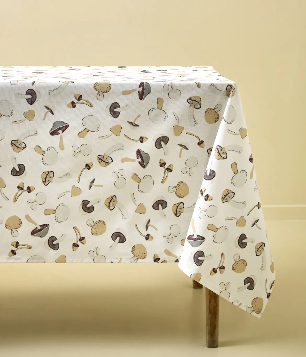 Nappe enduite Le coin des champignons