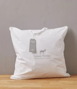 Oreiller Moelleux Chambre n°6