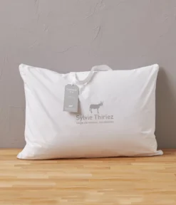 Oreiller Moelleux Chambre n°6