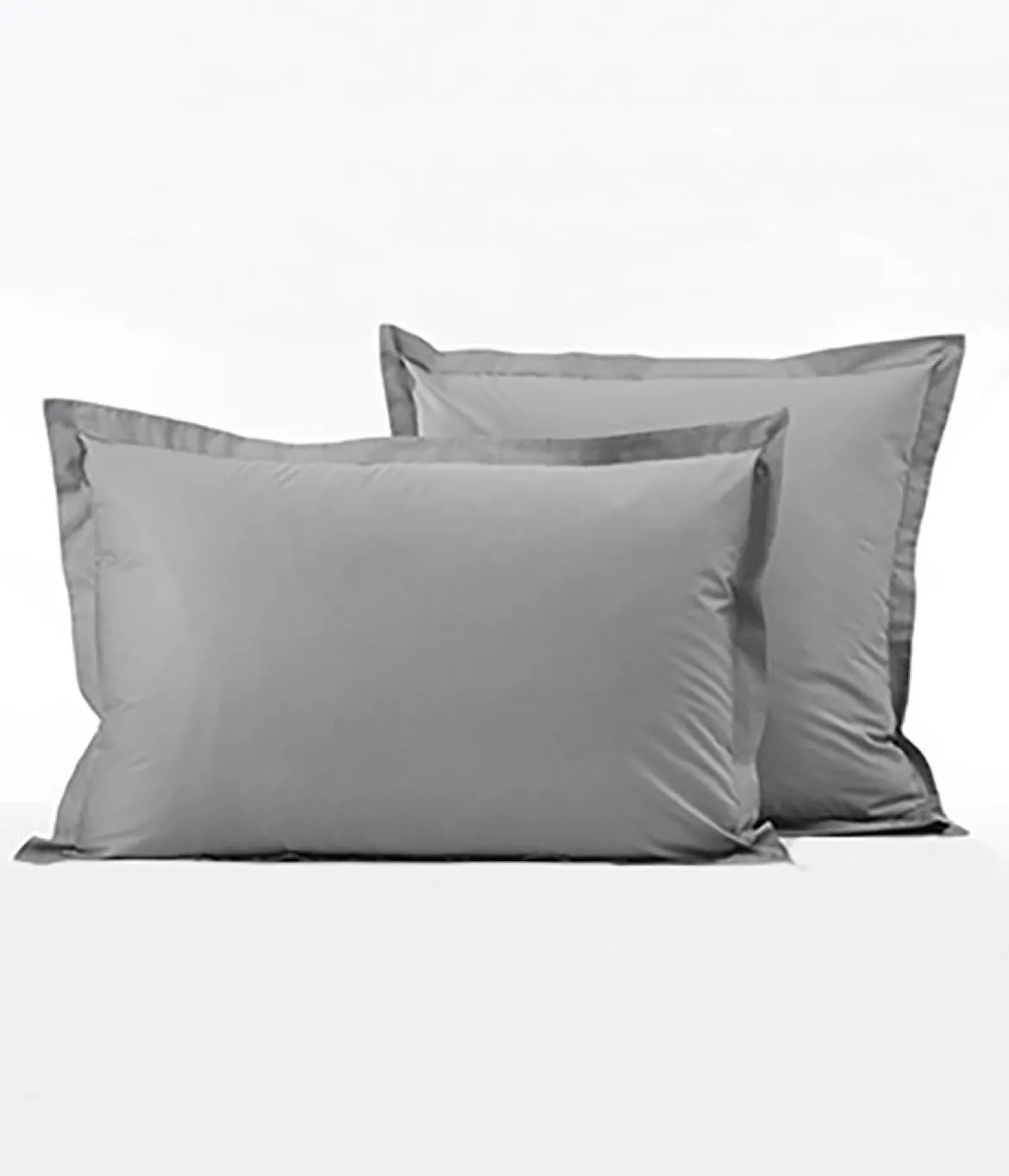 Percale gris galet