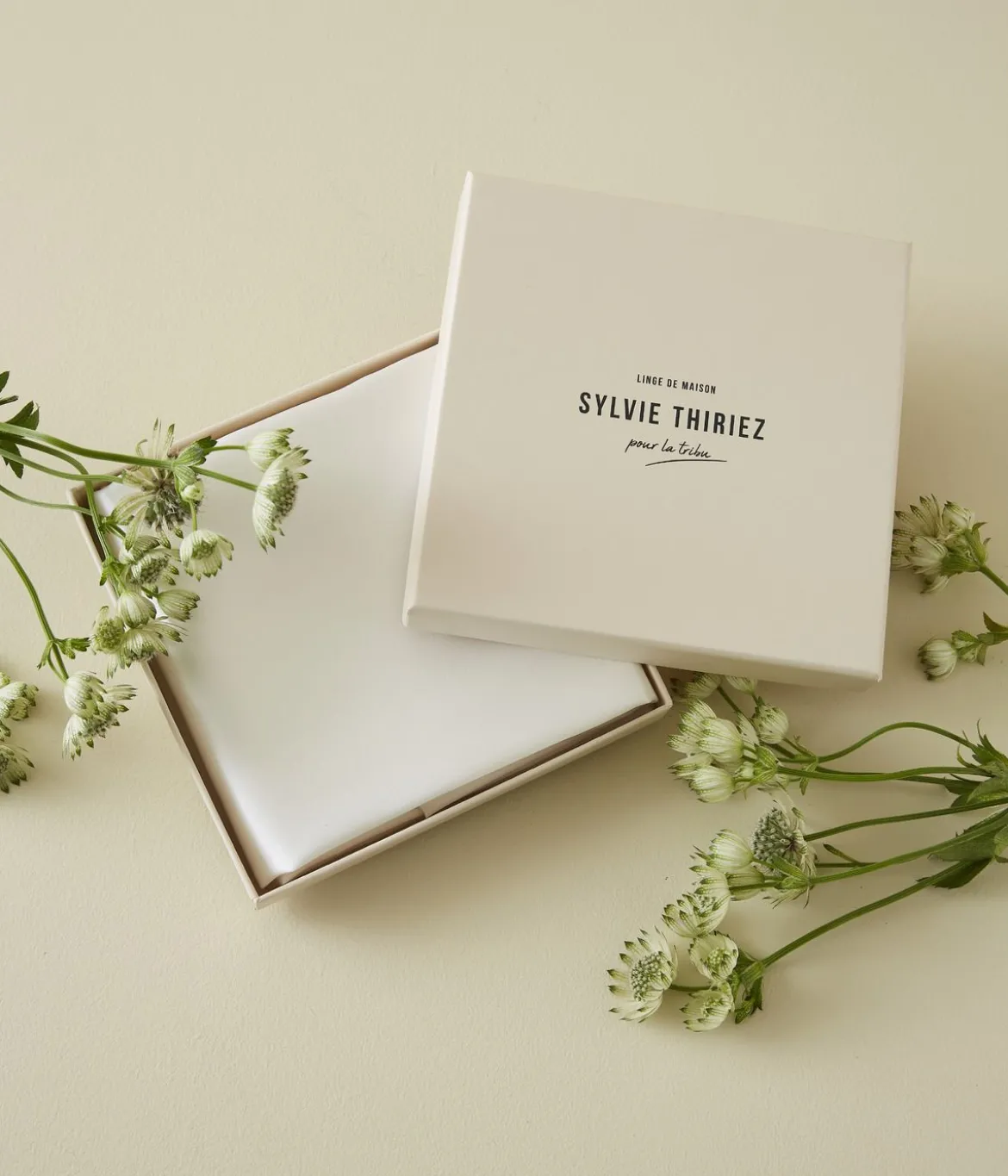Taie en soie Blanc saline